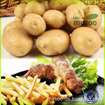 wholesale Chinese Fresh Potatoes in bulk, fresh vegetables, good quality